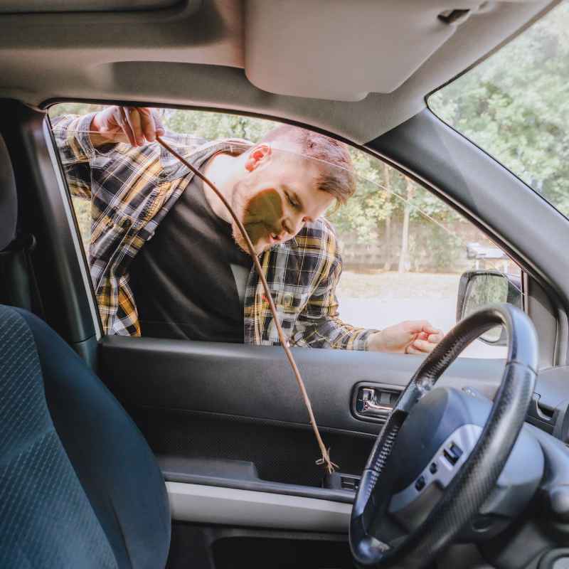 Understanding the Locked-Out Situation