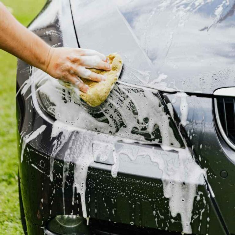 What Takes Bugs Off Cars Without Damaging the Paint?