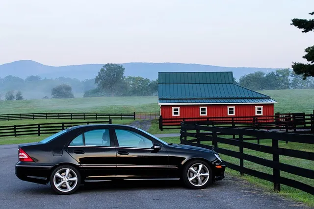 Black car parked in direct sunlight, which absorbs more solar radiation than lighter-colored paint