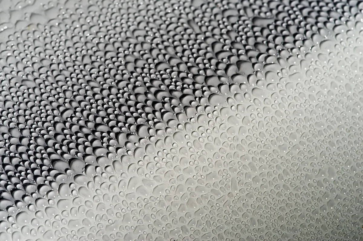 Glossy car paint with beaded water droplets showing a healthy, undamaged clear coat finish
