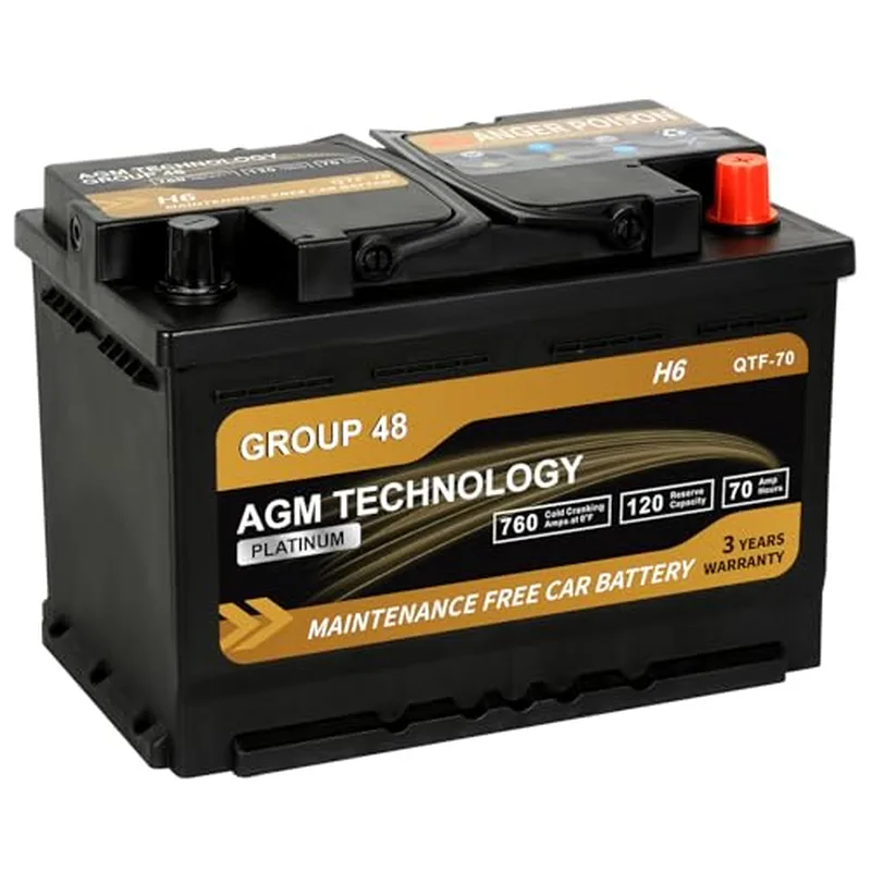 Daakmax Platinum AGM battery Group 48