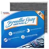 Spearhead Odor Defense Cabin Air Filter