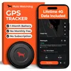 GPS Tracker