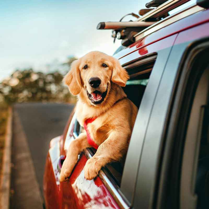 Common Mistakes When Replacing Car Window Seals