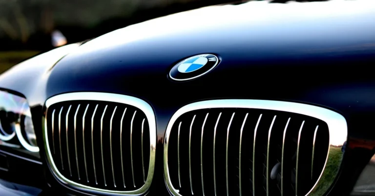 Close-up of a black BMW hood and grille showing the badge and paint finish