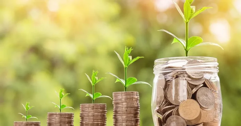 Coins with growing plants showing value change over time