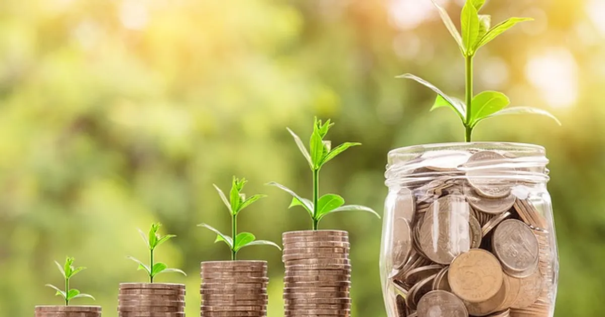 Coins with growing plants showing value change over time