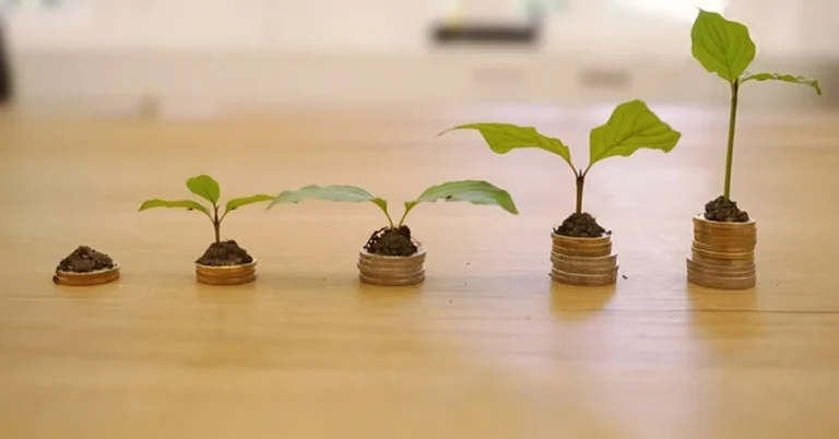 Stacked coins with plants representing interest rate growth