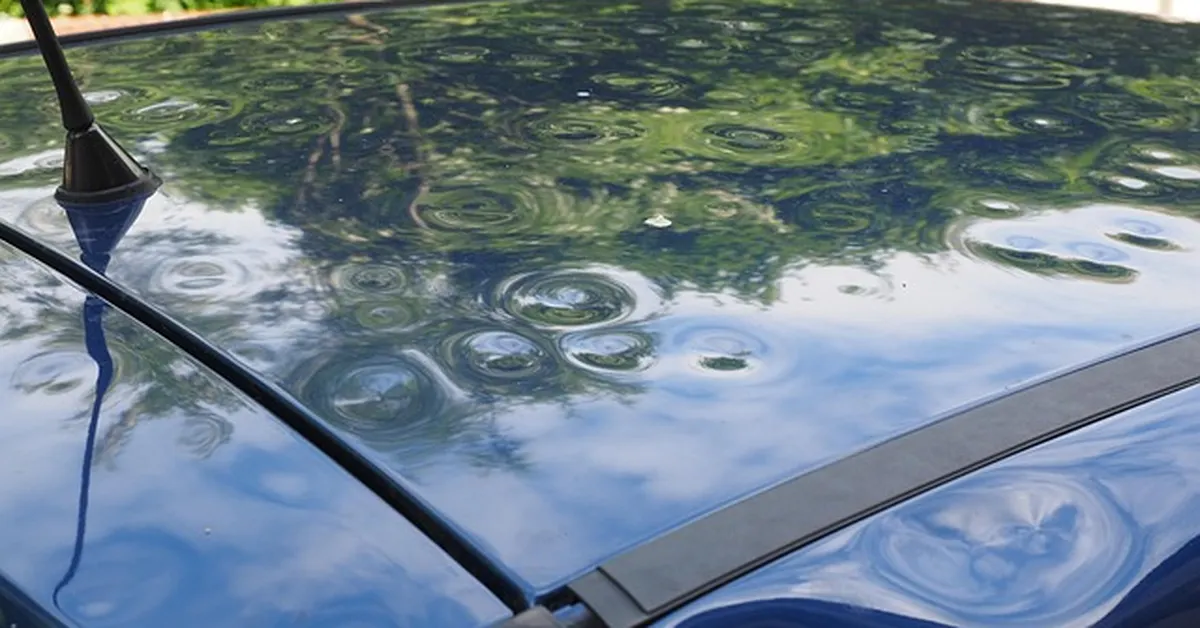 Close-up of hail dents across a car roof panel