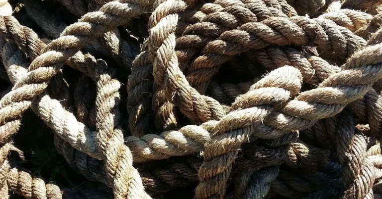 Car Tie Down Straps for Trailers for your car