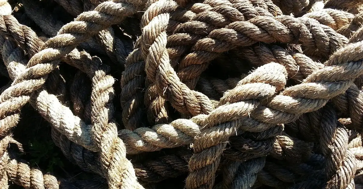 Car Tie Down Straps for Trailers for your car