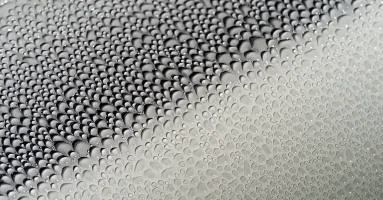 Cleaner Wax for Cars for your car