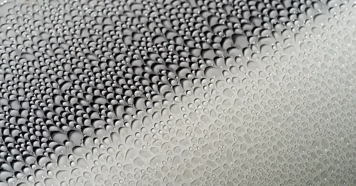 Cleaner Wax for Cars for your car