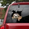 Dog Decal 3D Car Decal Sloth Crack car Sticker Decoration