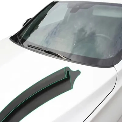 DOSHZXISZG Hood Deflector for Chrysler Pacifica Voyager