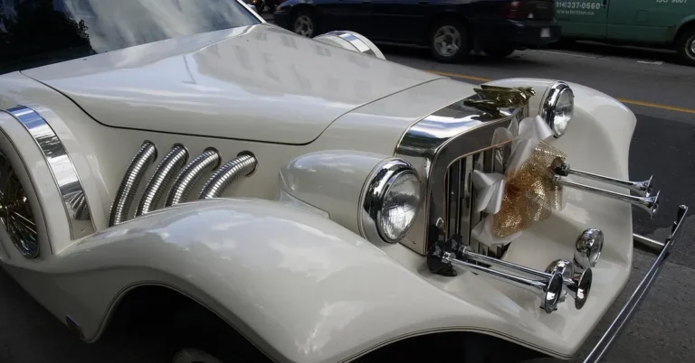 Exploring the Intersection of Cars and Lifestyle