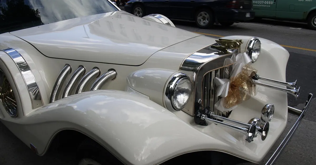 Exploring the Intersection of Cars and Lifestyle