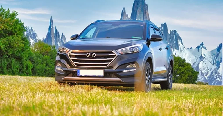 Hyundai Tucson SUV parked in a grassy field