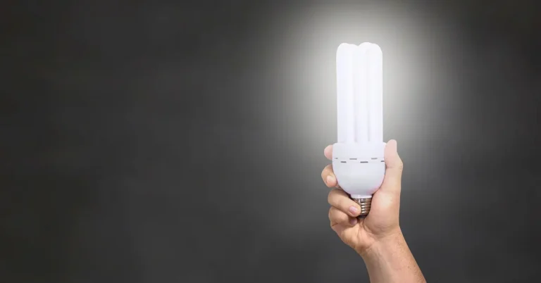 Led Light Bulbs for Cars for your car