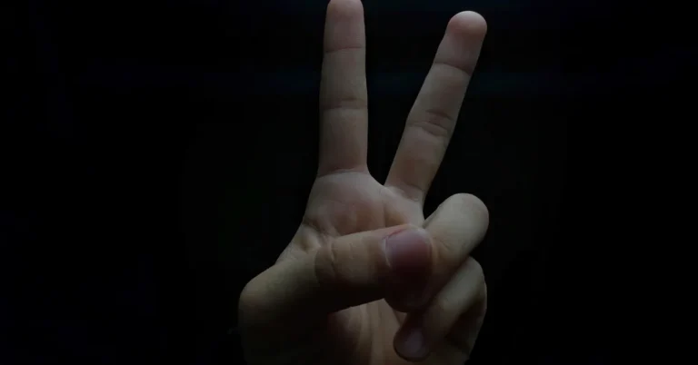 Middle Finger Light for Car for your car