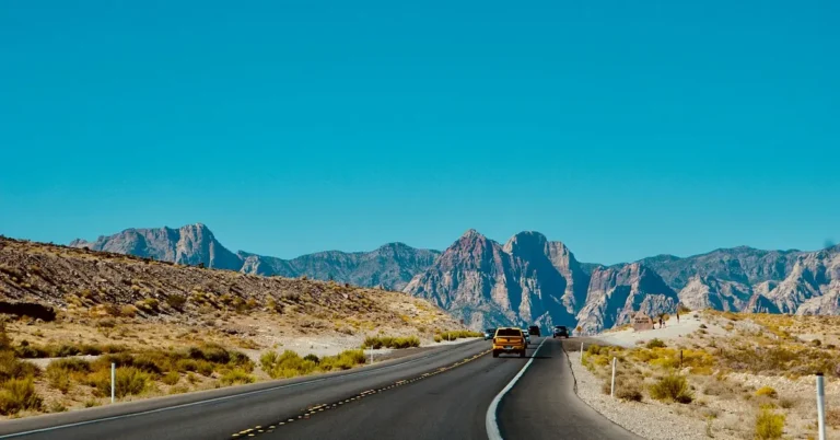 Navigating Road Trips: Adventure Tips for Drivers