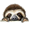 Peeking Sloth Vinyl Sticker 5 Inches Funny Sloth Decals for