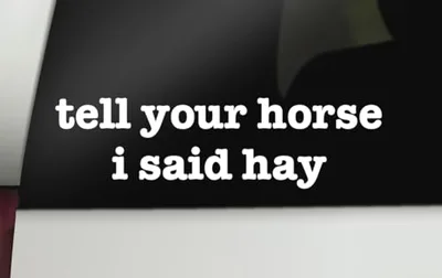 Tell Your Horse I Said Hay Decal | Funny Farm Decal | Horse Vinyl Decal | Horse Car Decal