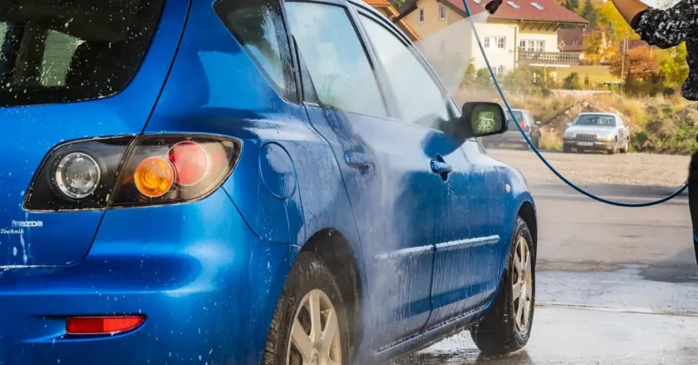 Steam Cleaner for Cars for your car