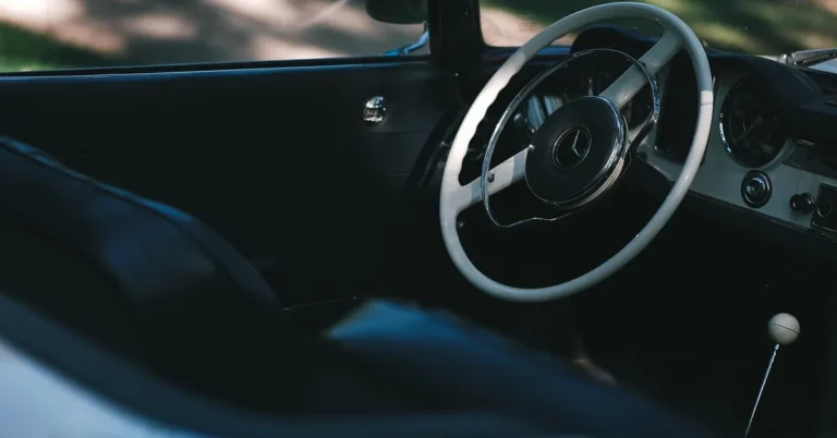 Steering Wheel Covers for your car