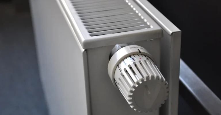 Thermostat for Car for your car