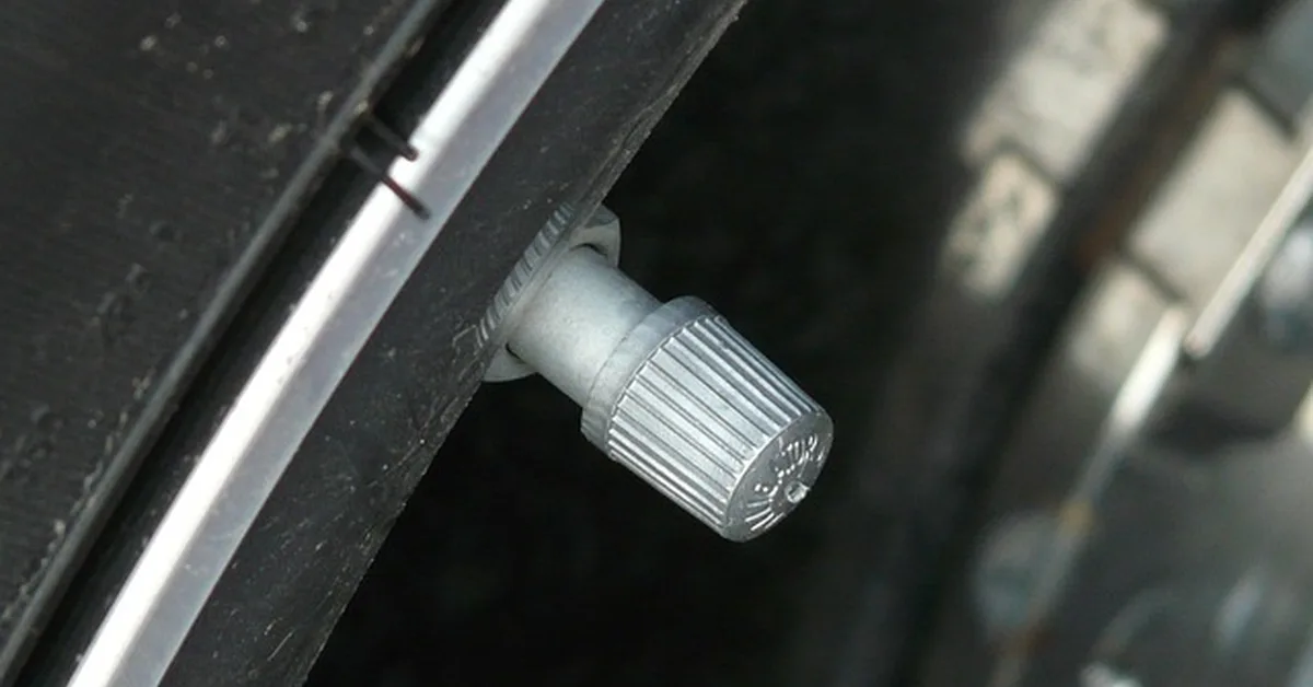 Tire valve stem for checking air pressure