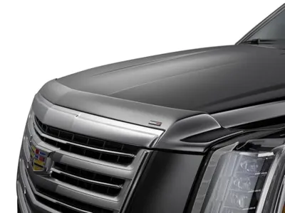 WeatherTech Hood Protector Low-Profile Hood Shield for Honda Odyssey (55169)