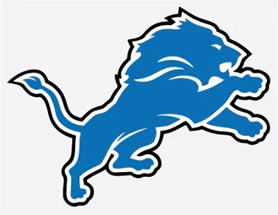 WinCraft Detroit Lions 8