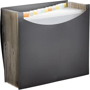 Amazon Basics expanding accordion file organizer for SNAP application paperwork