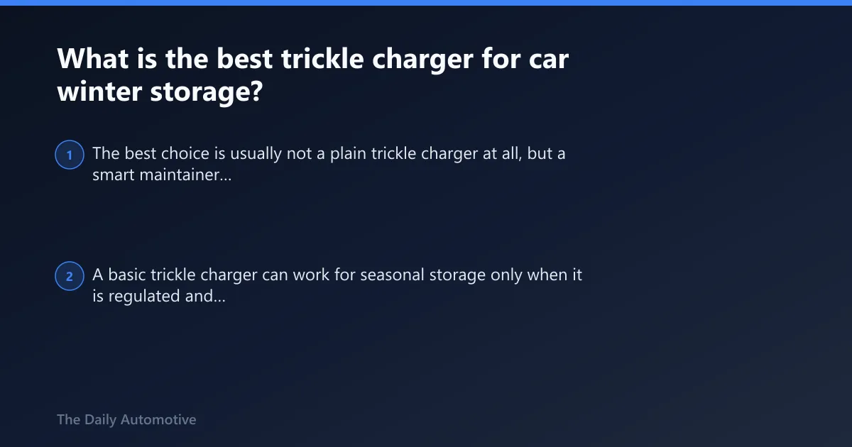 Steps: What is the best trickle charger for car winter storage?
