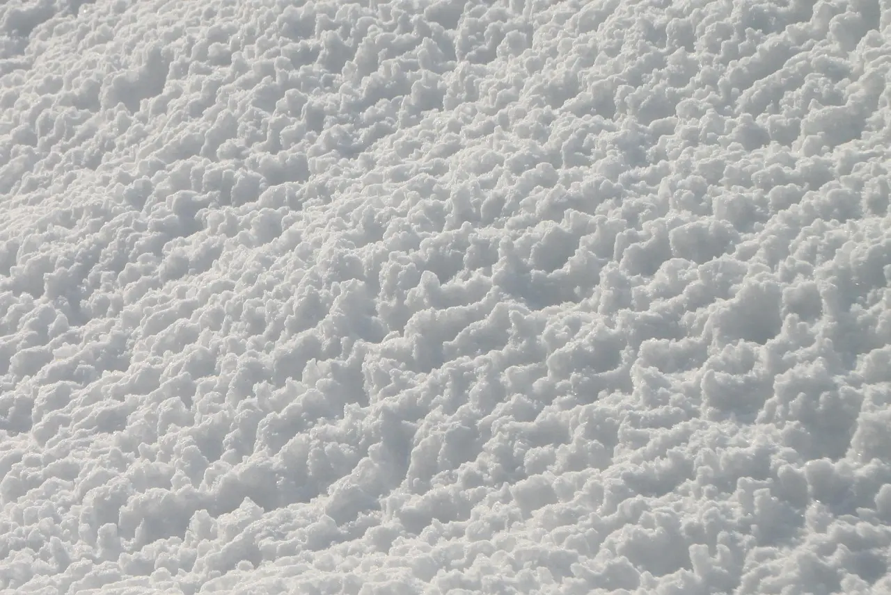 pH-balanced snow foam: best for coated daily drivers