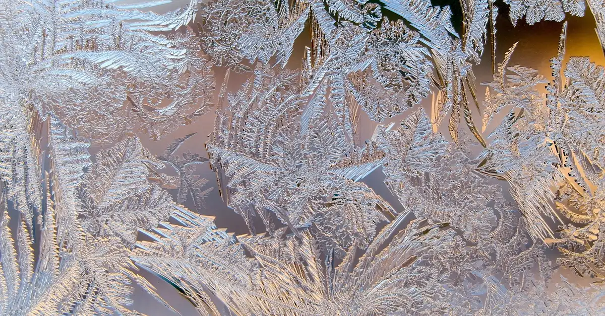 Car Window Covers for Winter for your car