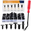 GOOACC 146PCS Nylon Bumper Shield Retainer & Double End Xmas