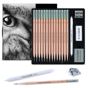 KALOUR 18-piece professional sketch pencil set with erasers and blending stump