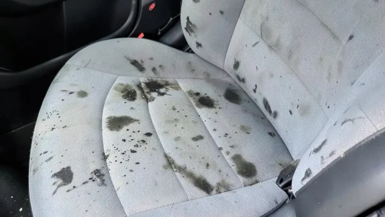 Dark mold and mildew stains spreading across a car's fabric seat upholstery