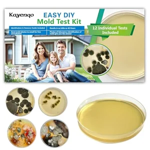 Mold Test Kit for Home box showing test plates and swabs for detecting mold in cars and homes