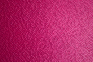 Armor All Leather Care Gel Review: Is It Worth It for You?
