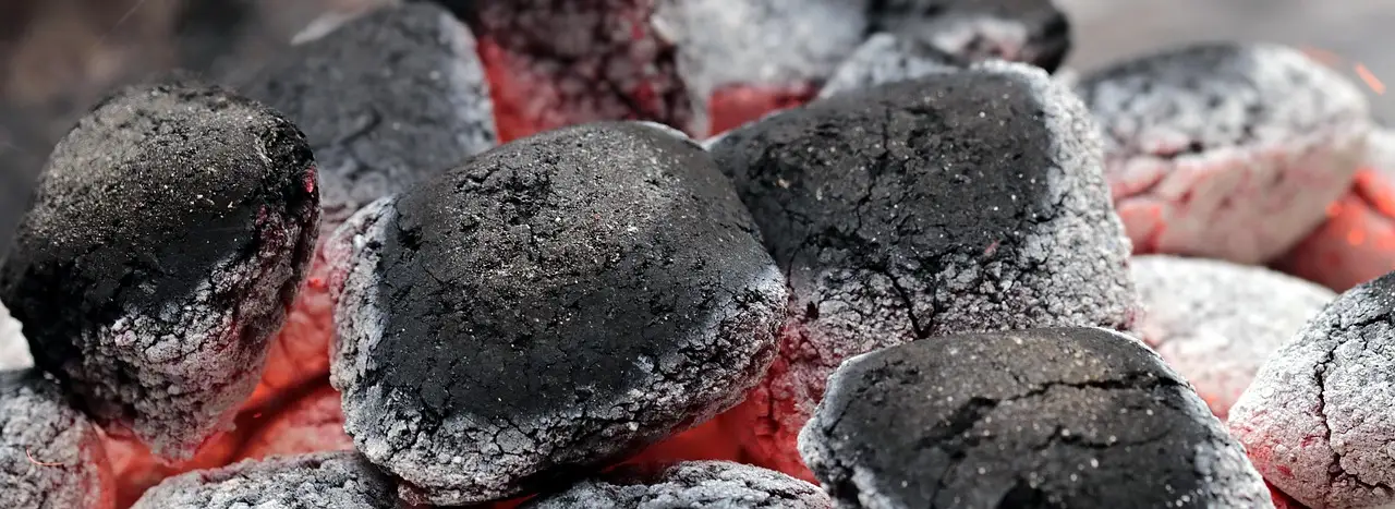 Can charcoal bags actually remove cigarette smell?