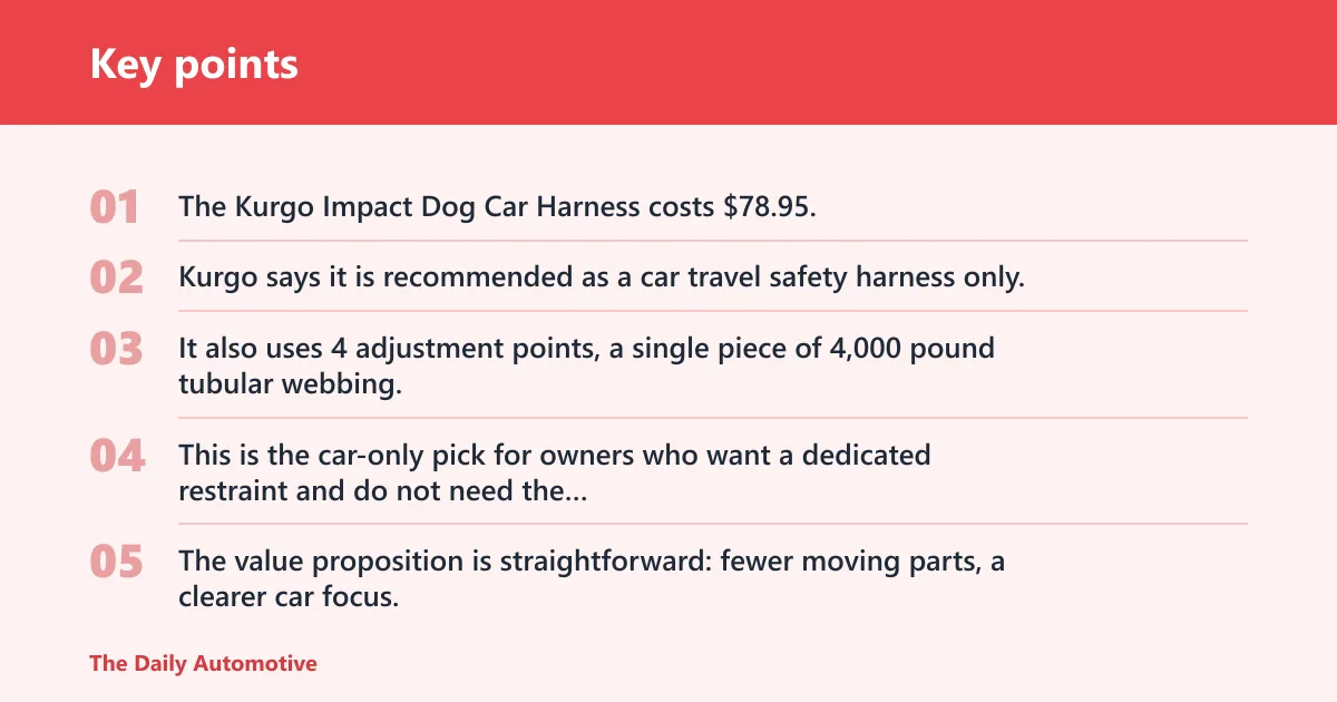 Key points: Top 3 picks for different dogs