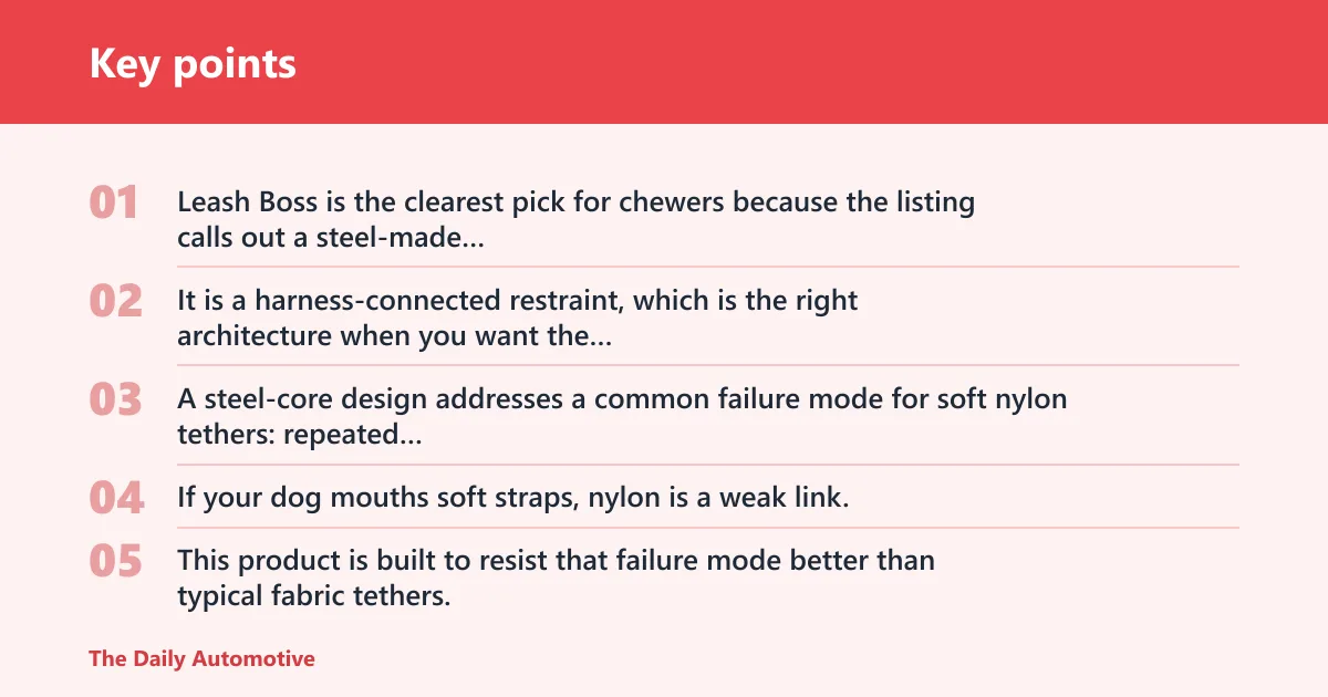 Key points: Leash Boss Dog Seat Belt Restraint: best for chewers