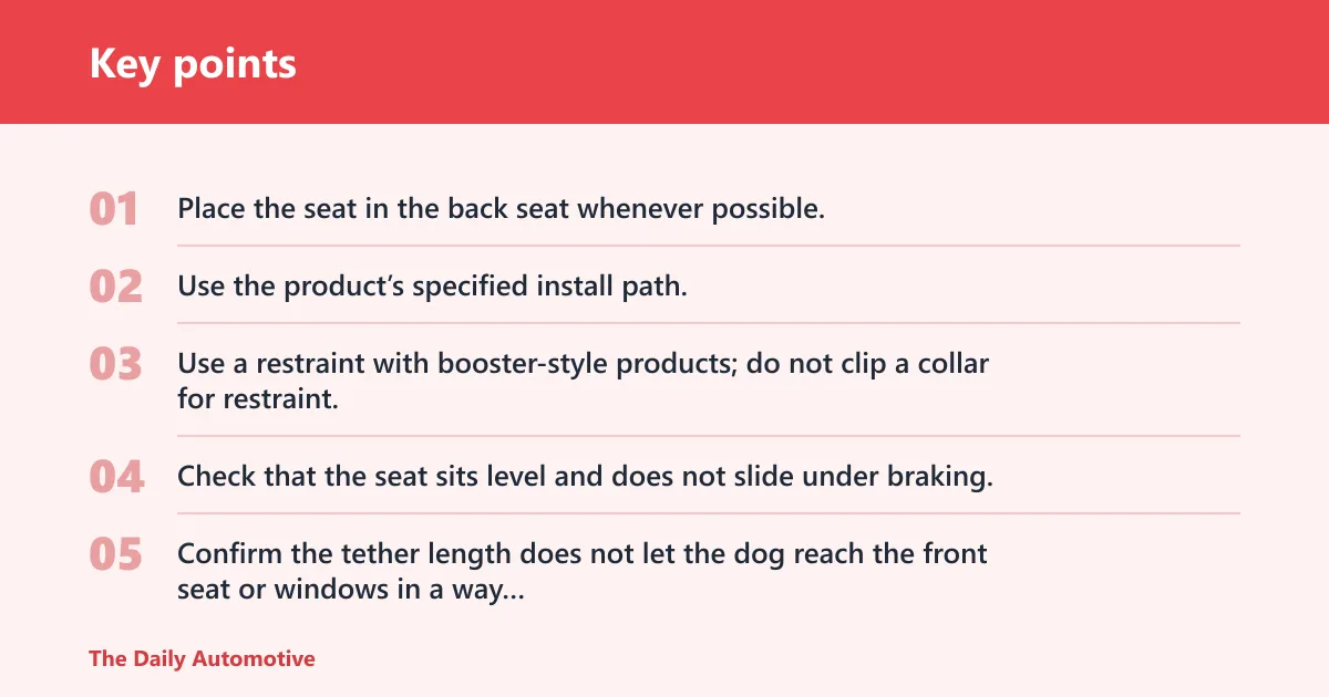 Key points: Small dog car seat decision table