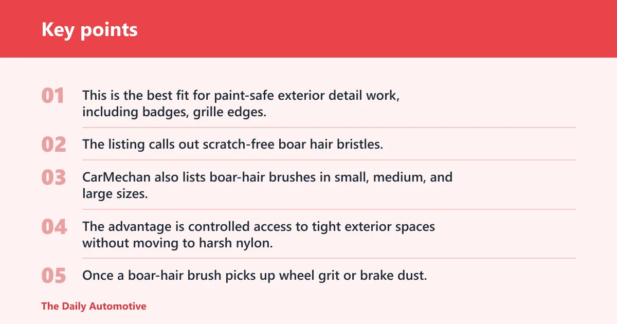Key points: Detail Dudes 3-pc Boar Hair Brush Set: best for exterior detail work