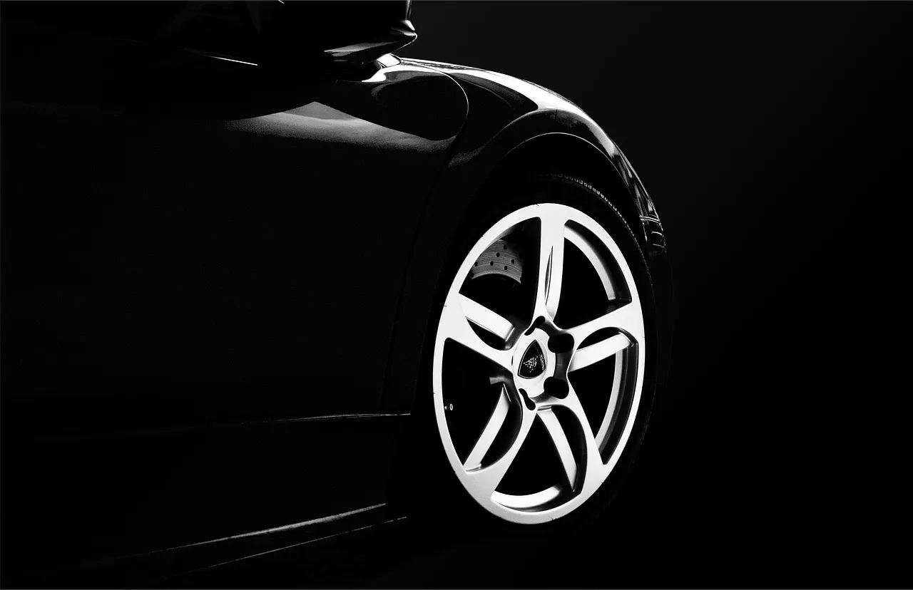 Sniggle Sloth Wheel Tire Icon 200+ Round Stickers: best for the cleanest OEM-plus look