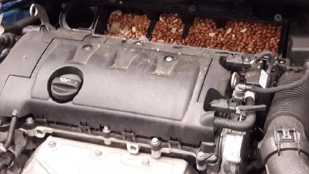 Hands remove a dusty cabin air filter from behind a car glovebox.