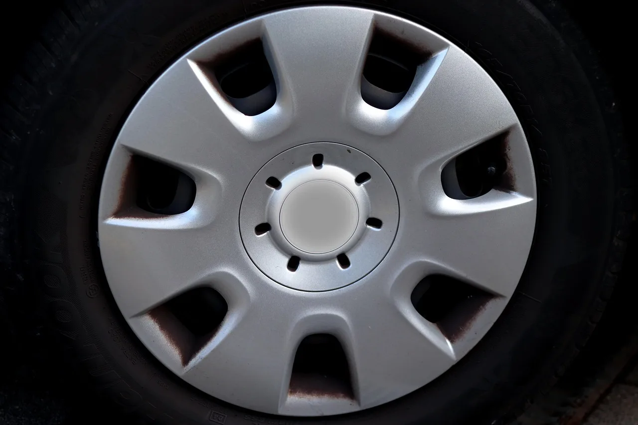 What is the best paint for car plastic trim?